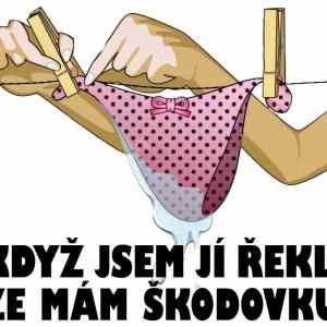 Obrázek 'mam skodovku'