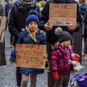 Obrázek 'manzel radsi drzi hubu'