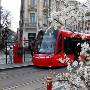 Obrázek 'masinka kvete'