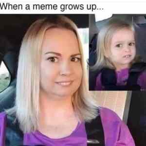 Obrázek 'meme grew up'