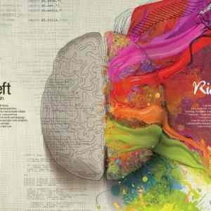 Obrázek 'mercedes-benz-left-brain-right-brain-paint-small-71504'