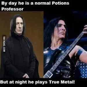 Obrázek 'metal snape'