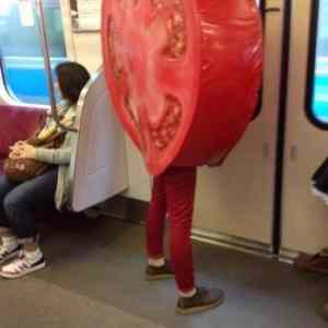 Obrázek 'metro vegetable'
