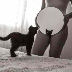 Obrázek 'mirror pussycat'