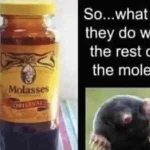 Obrázek 'moleAsses'