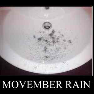 Obrázek 'movember rain'