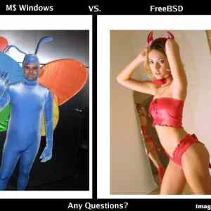 Obrázek 'ms windows vs freebsd'