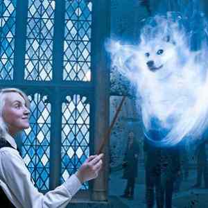 Obrázek 'much patronus'