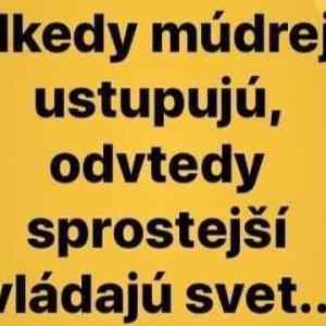 Obrázek 'mudry ustupy'