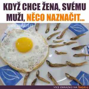 Obrázek 'neco nazn'