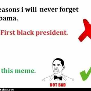 Obrázek 'never forget obama'