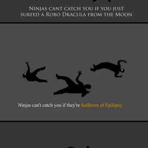 Obrázek 'ninjas cant catch you'