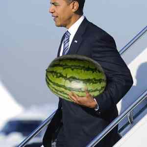 Obrázek 'obama meloun'