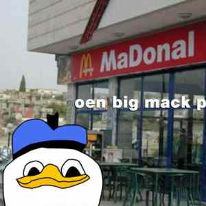 Obrázek 'oen big mack pls nd sum fries pls'