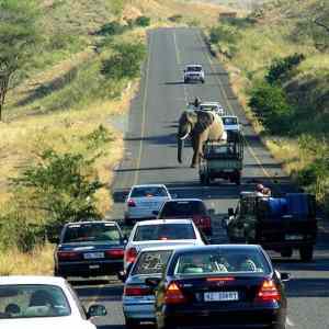 Obrázek 'panika na highway'