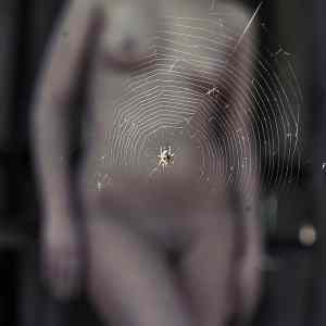 Obrázek 'pavoucek na pozadi'