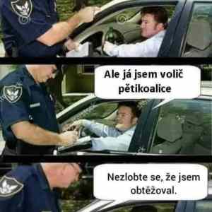 Obrázek 'piloerekce'