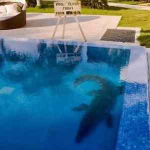 Obrázek 'pool is closed'