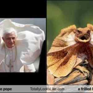 Obrázek 'pope vs lizard'