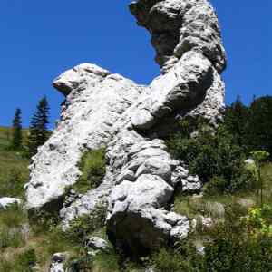 Obrázek 'porno rock'