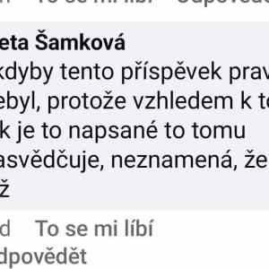 Obrázek 'pravda pravdouci1'