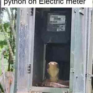 Obrázek 'programmer instaled Python on electric meter'