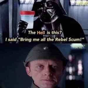 Obrázek 'rebel cum or scum'