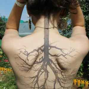Obrázek 'root tattoo'