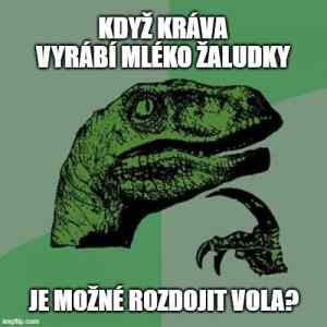 Obrázek 'rozdojit vola'