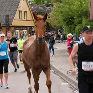 Obrázek 'runners'