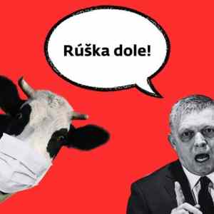 Obrázek 'ruska dole'