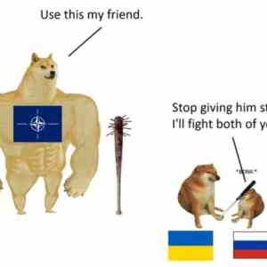 Obrázek 'russia doggo'