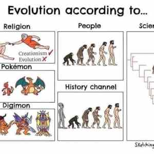 Obrázek 'ruzna evoluce'