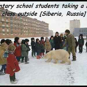 Obrázek 'school-siberia'