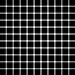 Obrázek 'scintillatinggridillusion2010G50Ls'