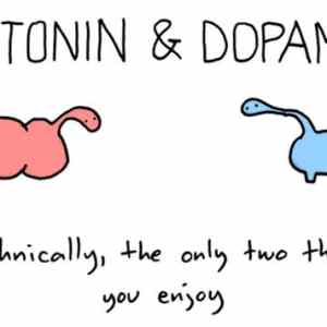 Obrázek 'serotonin dopamine'