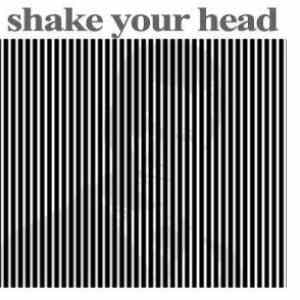 Obrázek 'shake your head pro lenive'