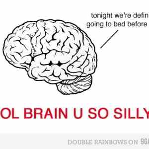 Obrázek 'silly brain'
