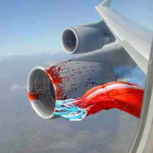 Obrázek 'skydiver-vs-747'