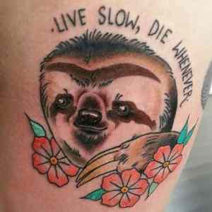 Obrázek 'sloth'