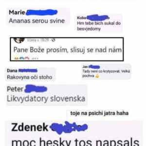 Obrázek 'slovnik fejsbukovstiny'