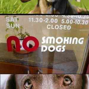 Obrázek 'smokingdog'