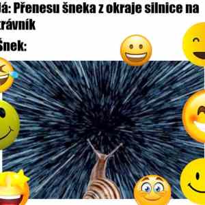 Obrázek 'sneci-pohled'