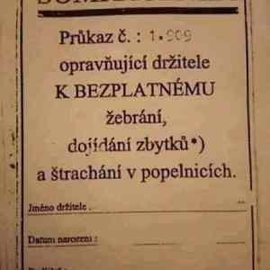 Obrázek 'somracenka'