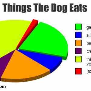 Obrázek 'song-chart-memes-dog-eats'