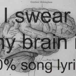 Obrázek 'song lyrics in my brain'