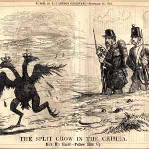 Obrázek 'split crow in the crimea'