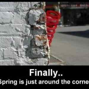 Obrázek 'spring is around'