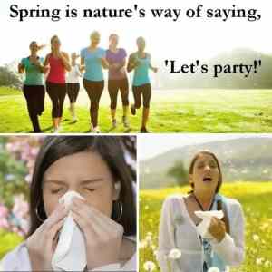 Obrázek 'spring is natures way'