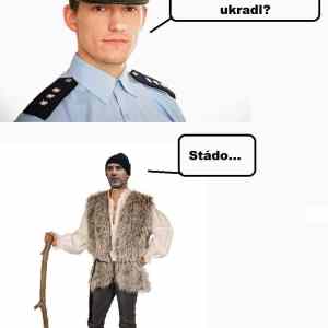 Obrázek 'stado'